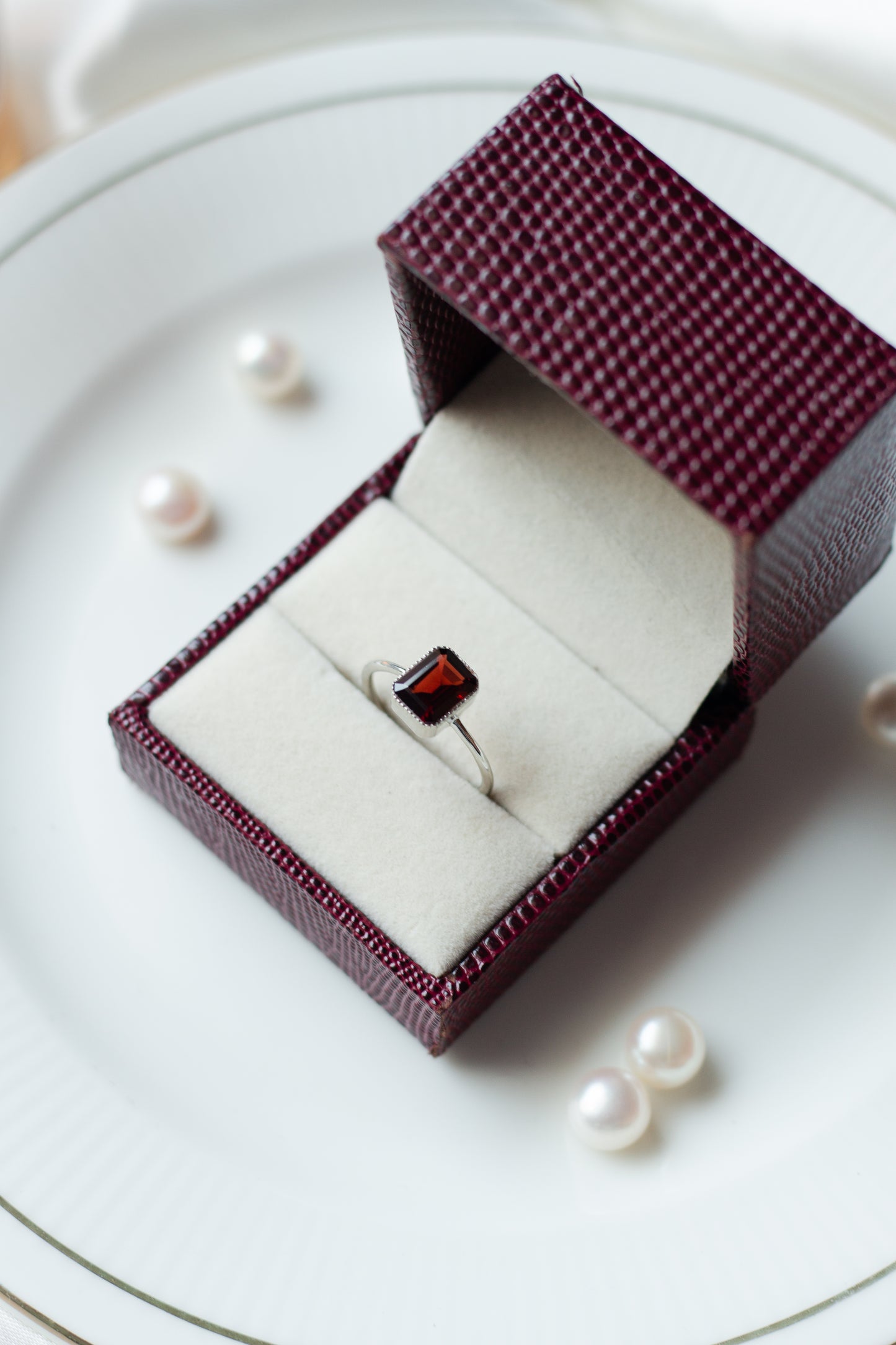 Modern Garnet Delight